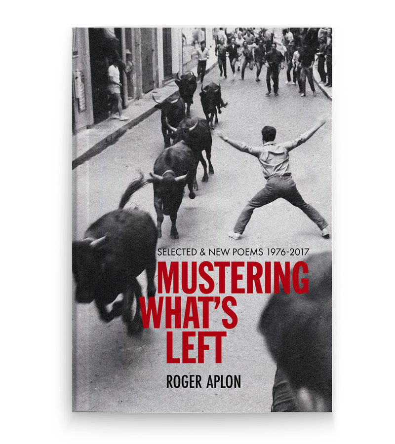 Roger Aplon book cover